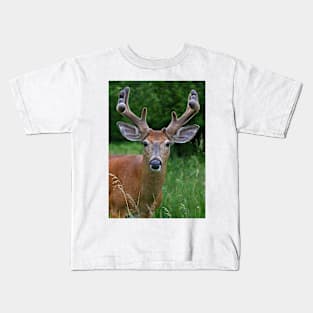 A touch of velvet - White-tailed buck Kids T-Shirt